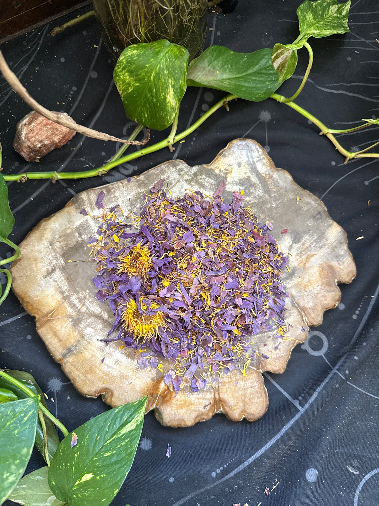 PRE ORDER Blue Lotus Mist