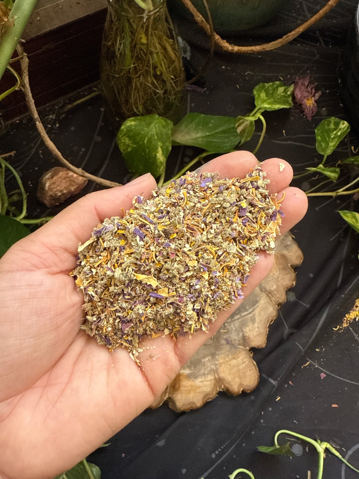 PRE ORDER Spiritual Awakening