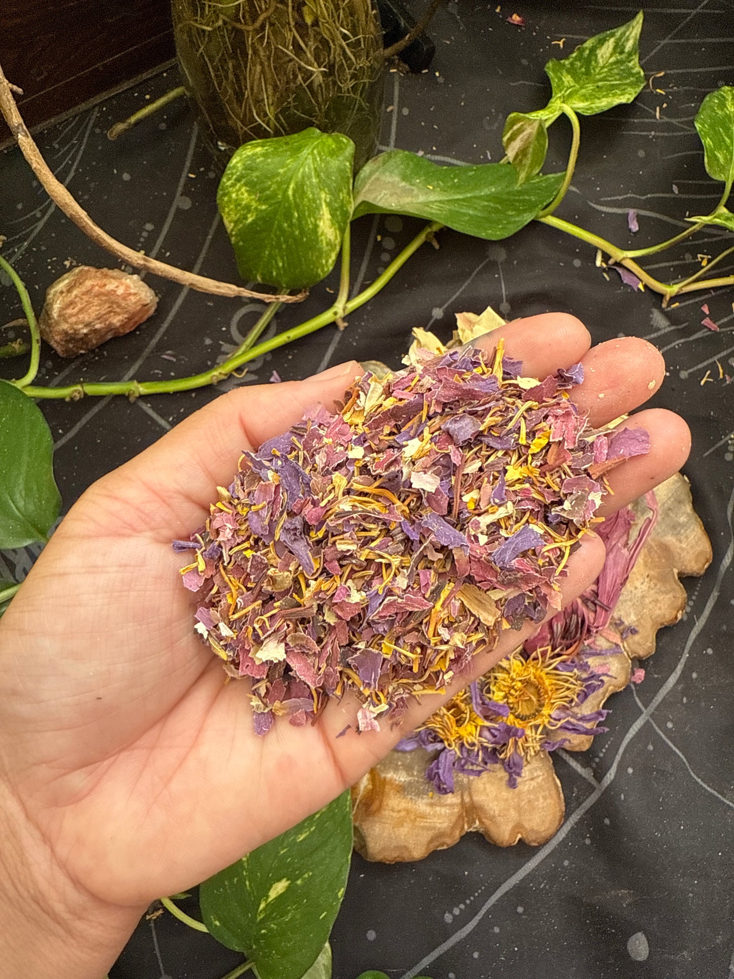 PRE ORDER Mixed Lotus Mist