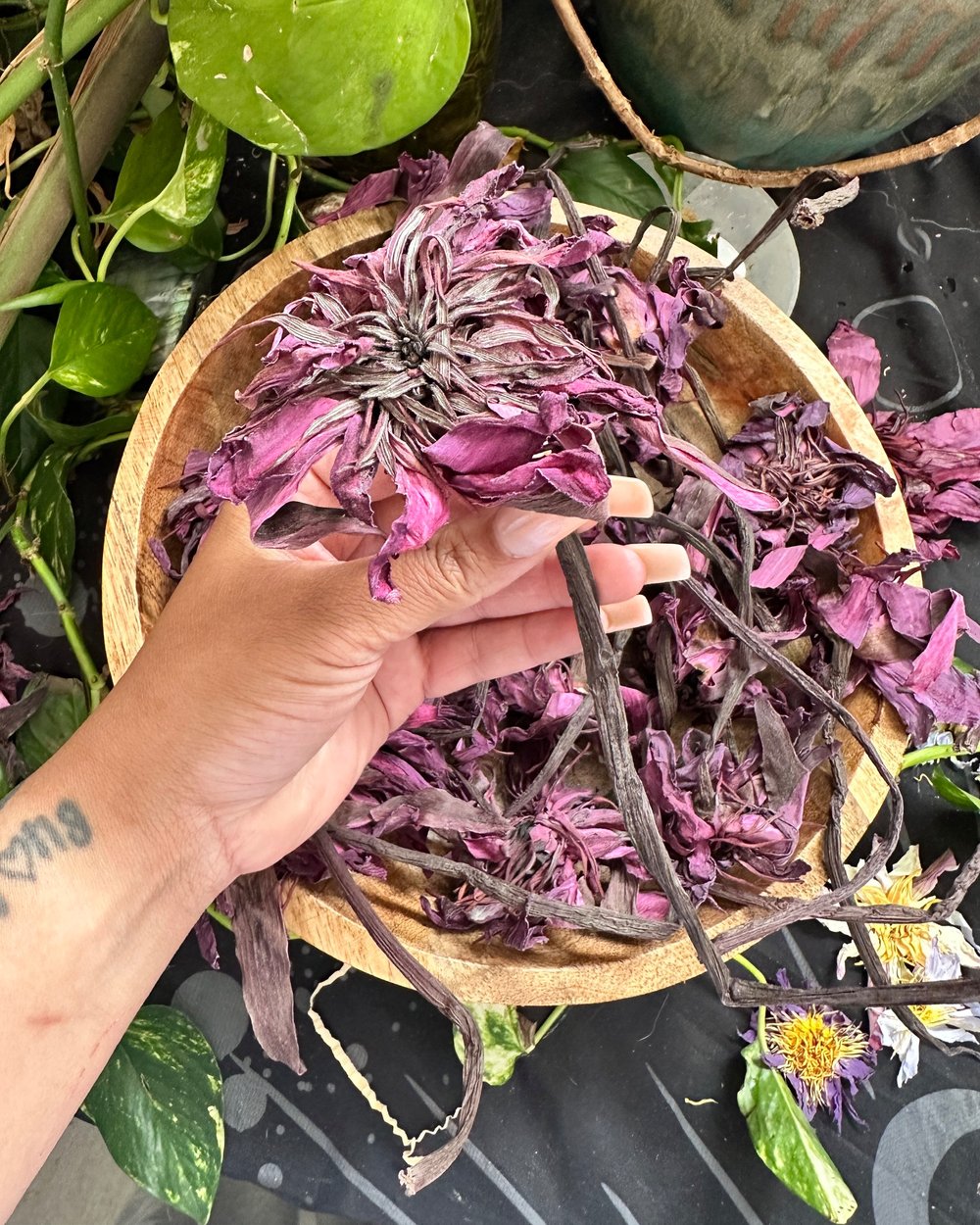 PRE ORDER Red Lotus With Stems