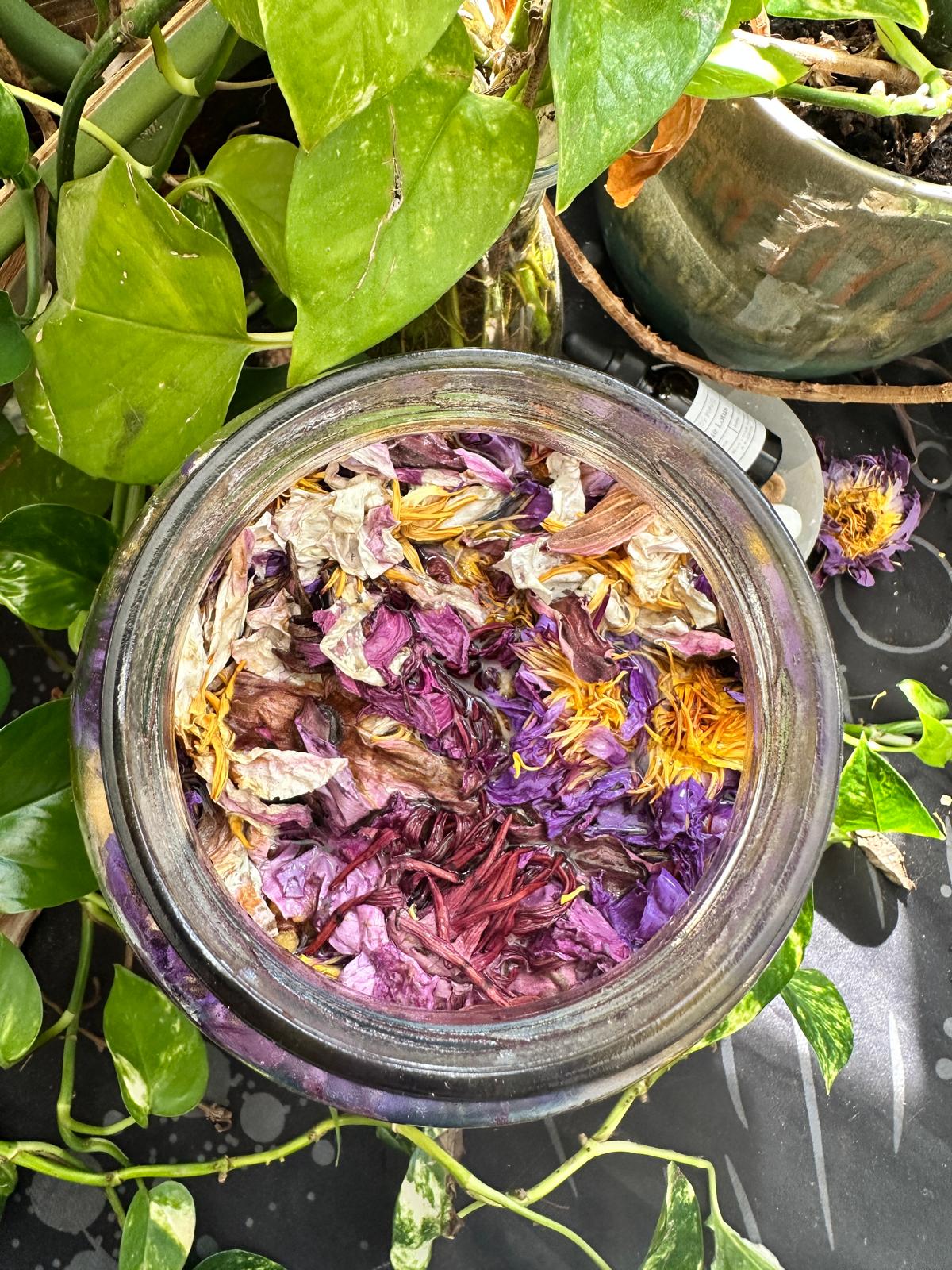 Mixed Lotus Flowers Tincture