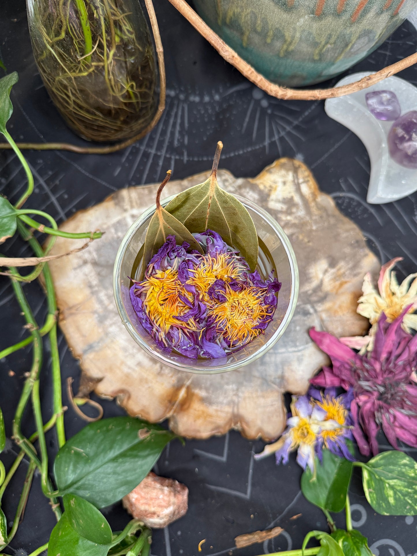 Cinnamon Leaf & (Lotus Mix Bliss)