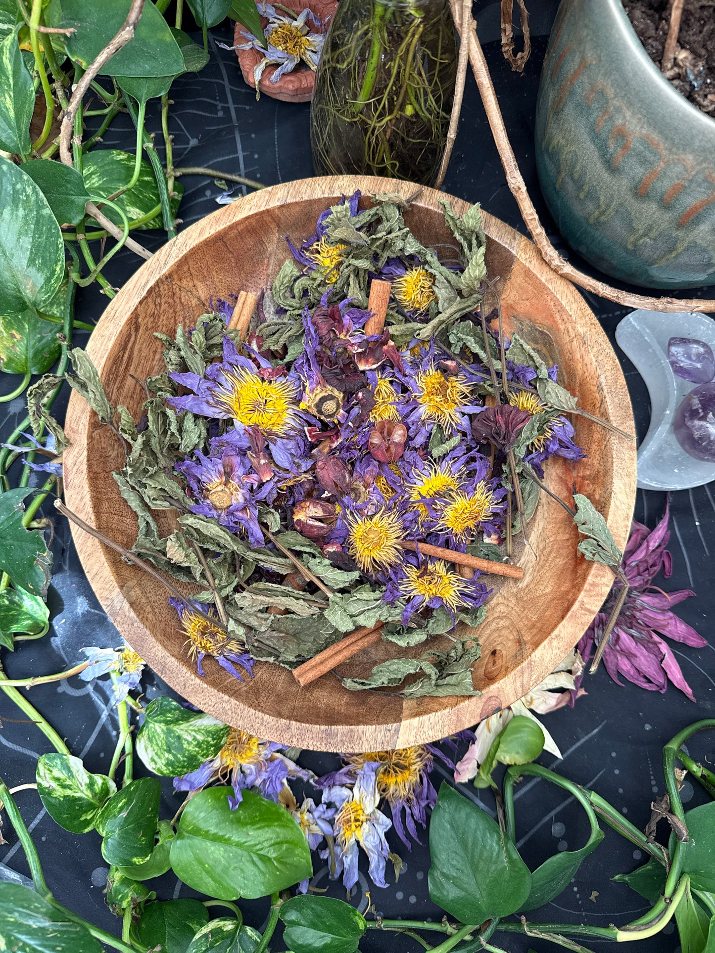 LIMITED EDITON - Summertime Lotus Ice Tea