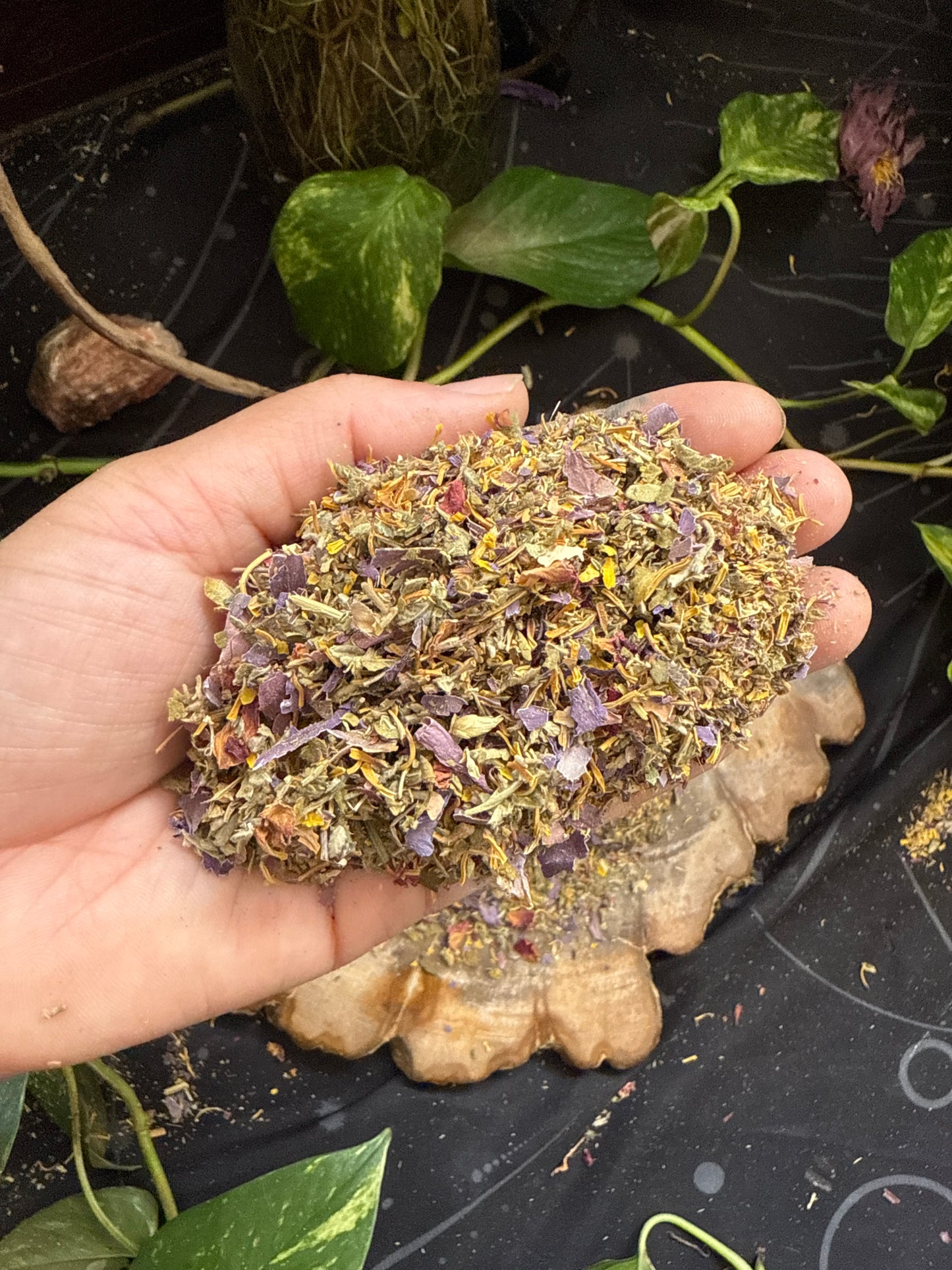 Lucid & Vivid Dreams