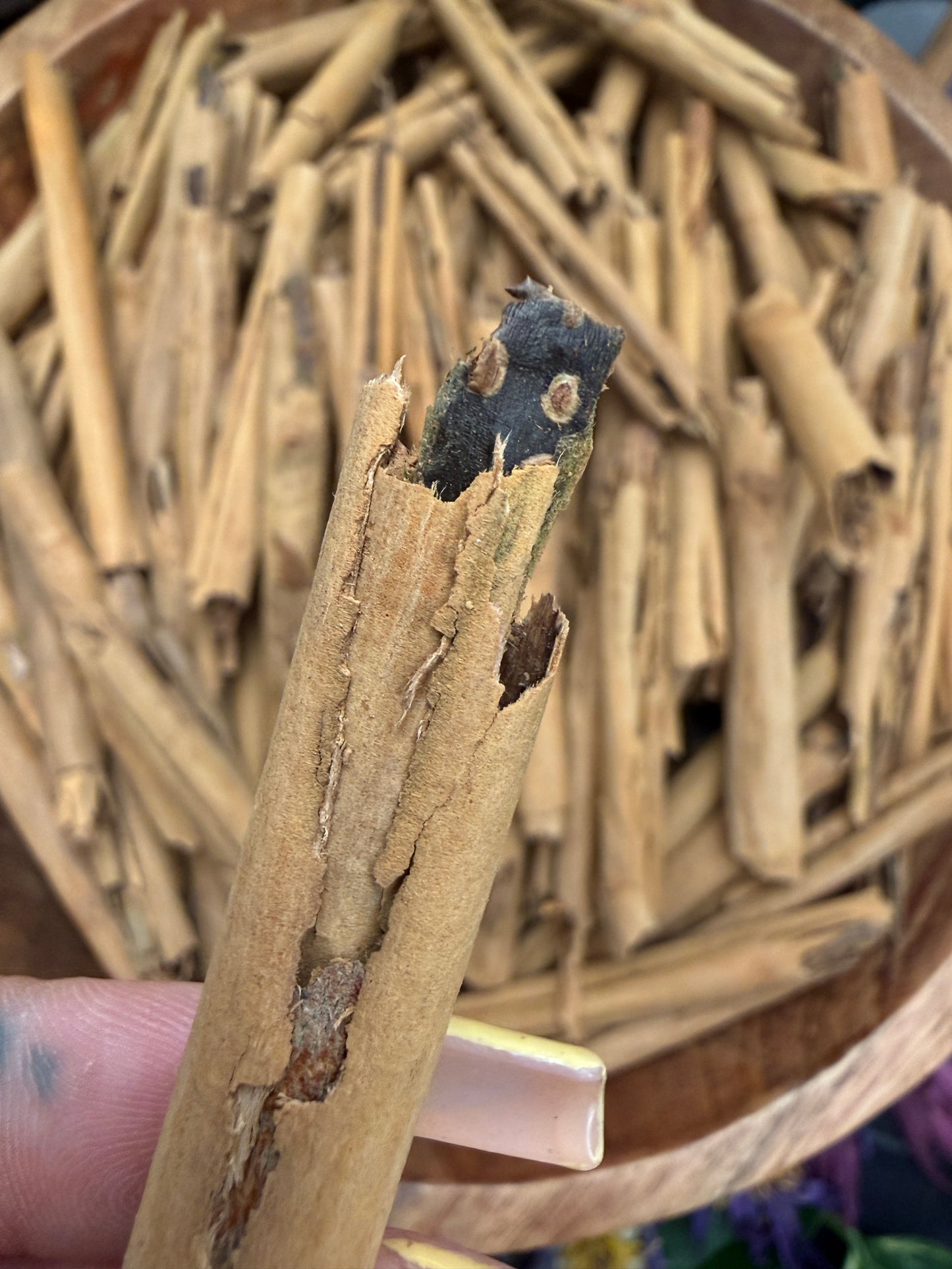 Cinnamon Sticks
