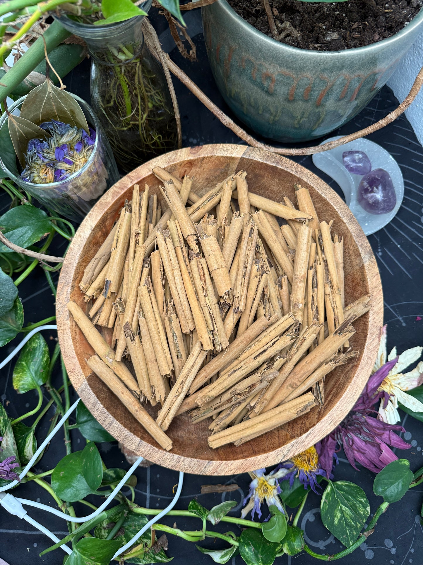 Cinnamon Sticks