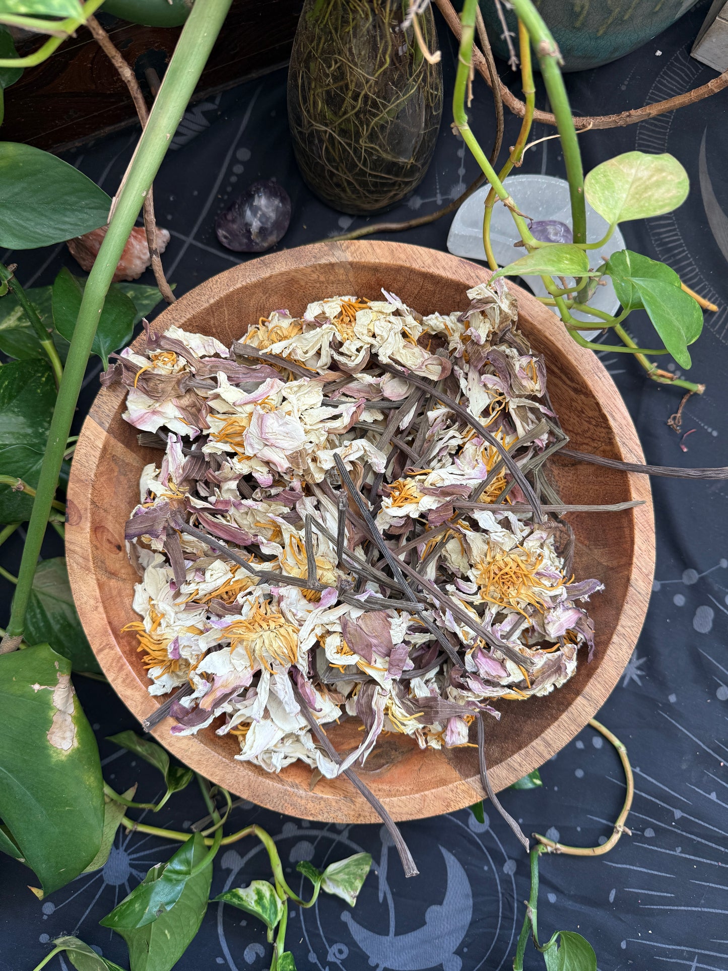 White Lotus Stems