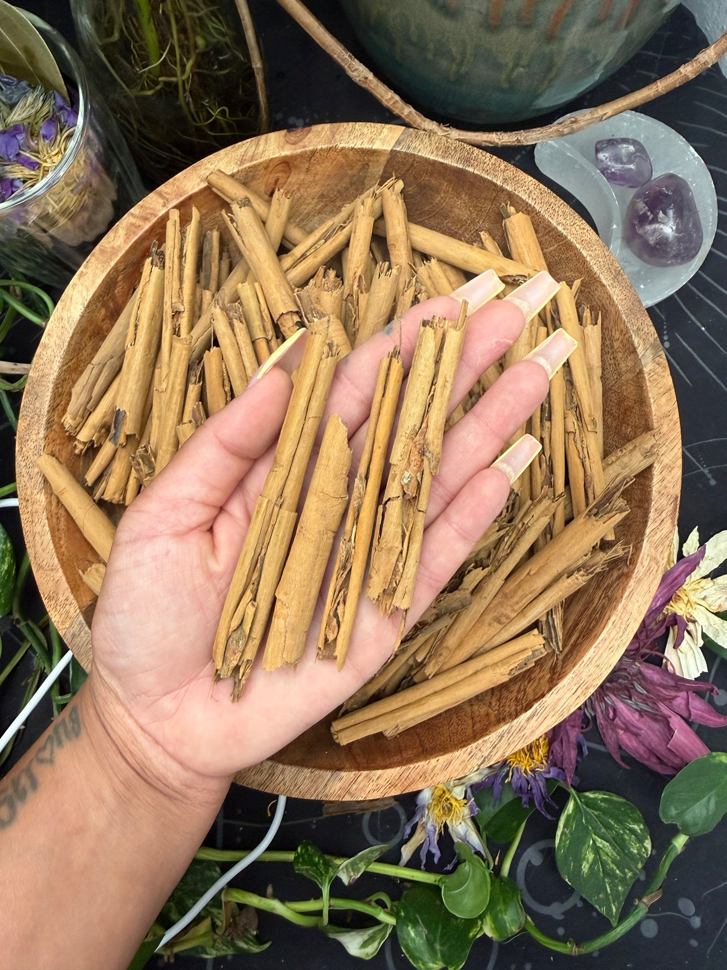 Cinnamon Sticks
