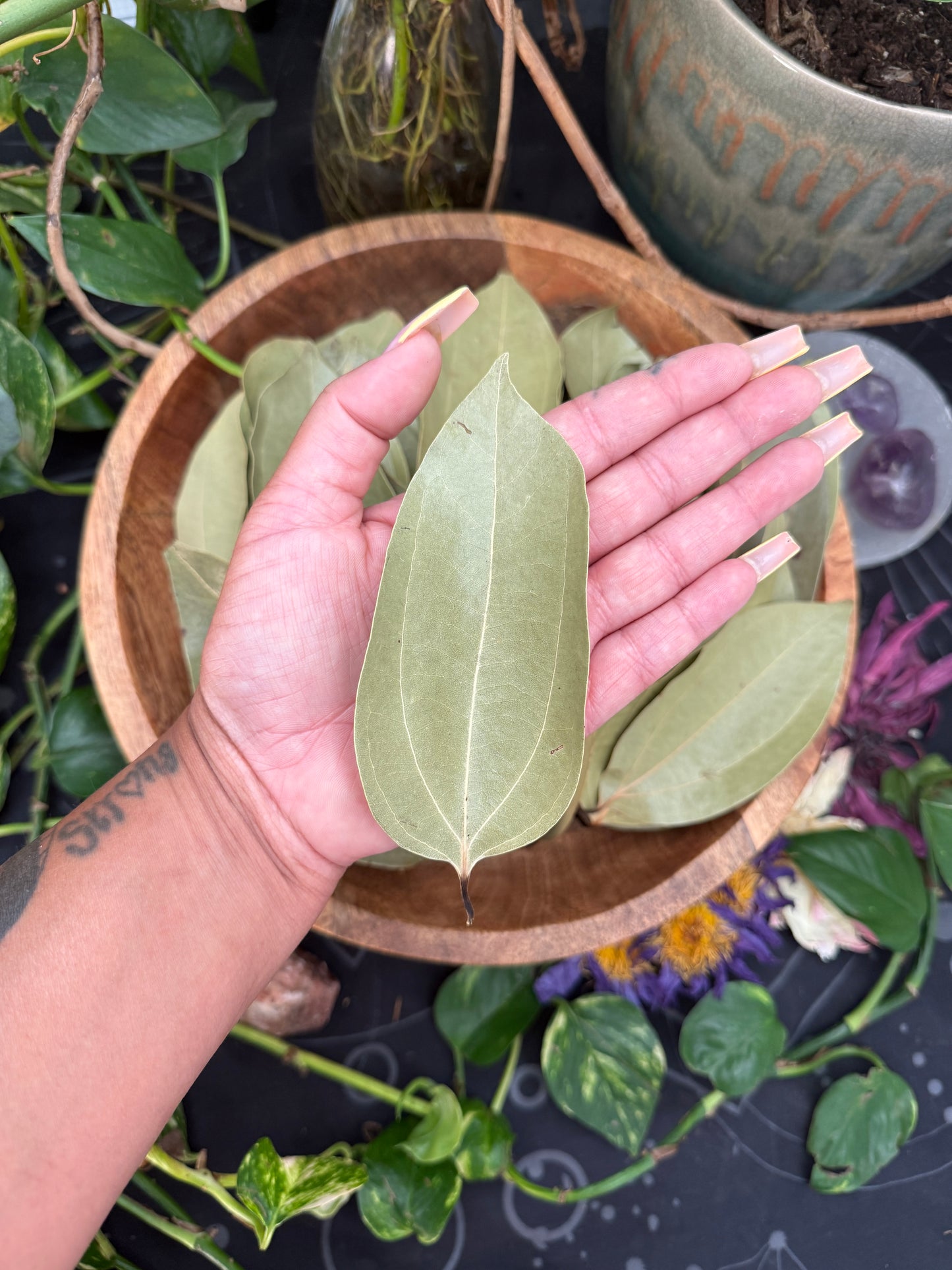 Cinnamon Leaf & (Lotus Mix Bliss)