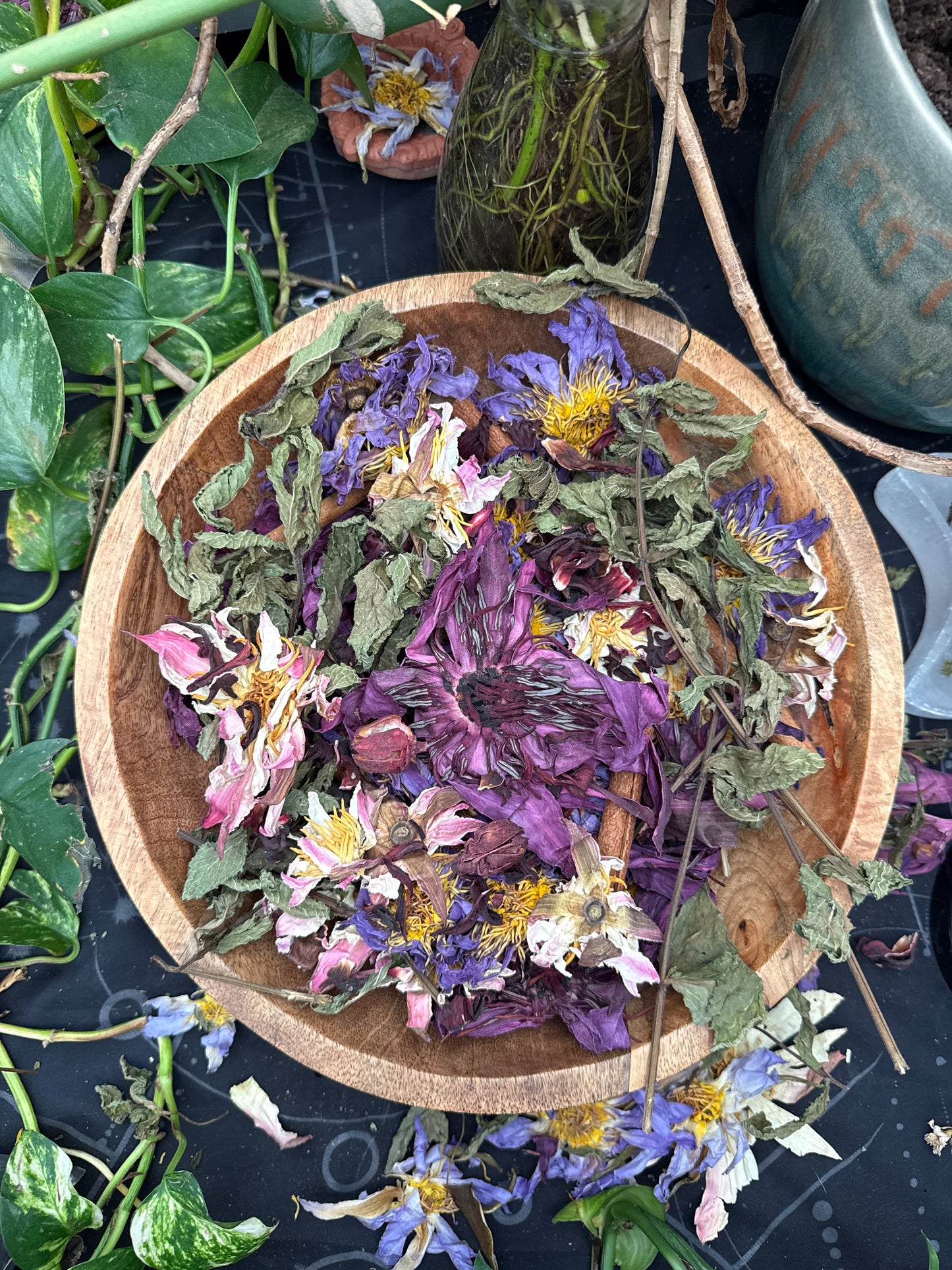 LIMITED EDITON - Summertime Lotus Ice Tea