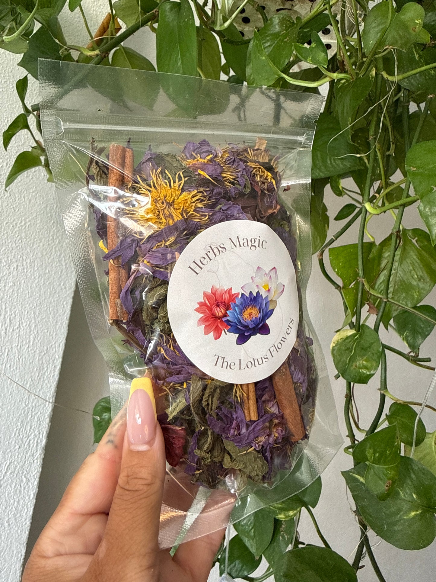 LIMITED EDITON - Summertime Lotus Ice Tea