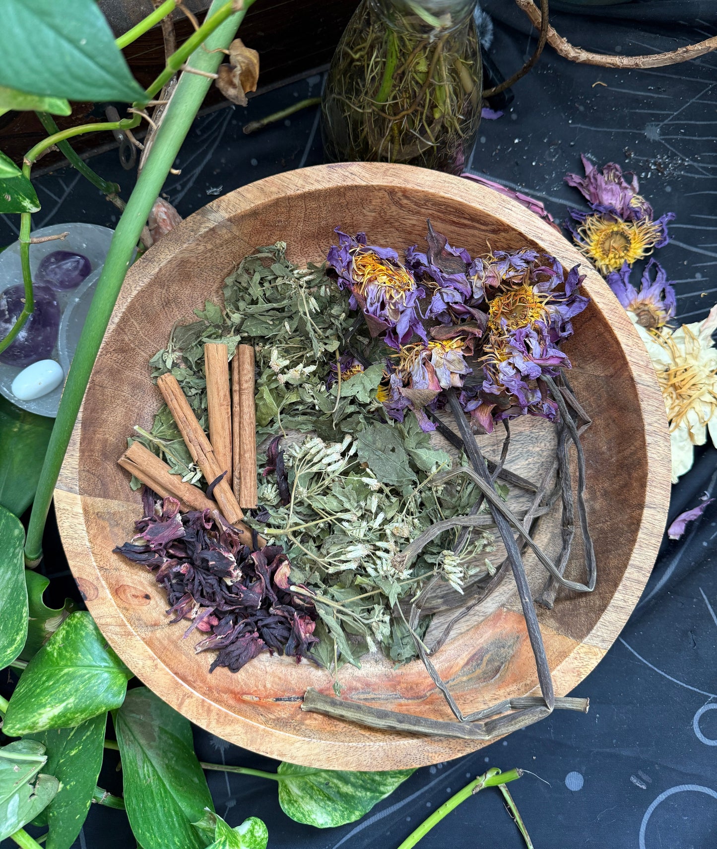 Lucid & Vivid Dreamy Tea