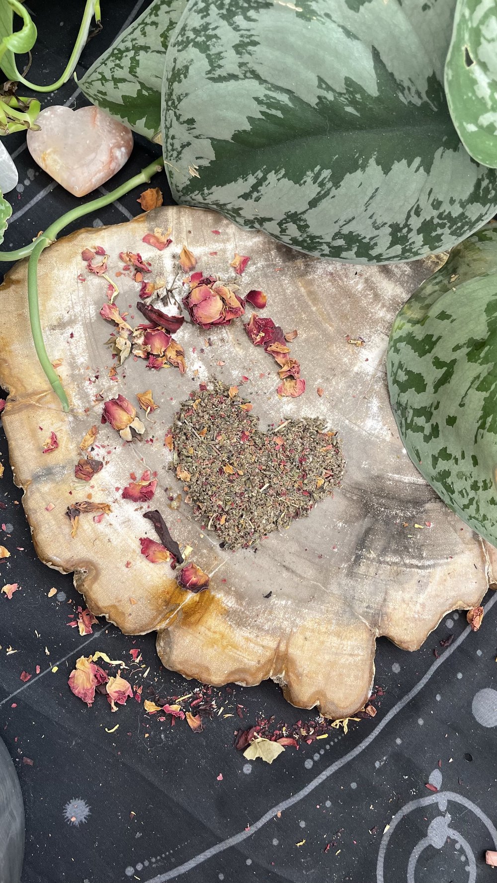 PRE ORDER White Lotus