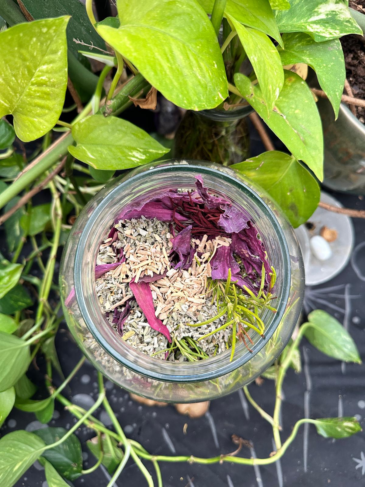 Bloom Focus Tincture